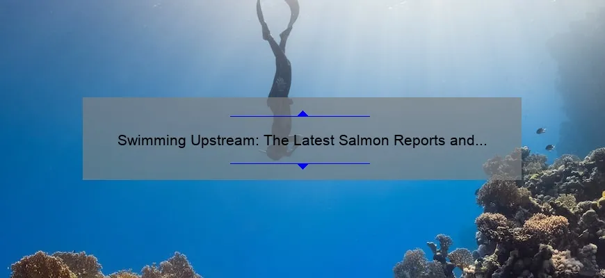 Swimming Upstream: The Latest Salmon Reports and Findings